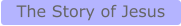 The Story of Jesus