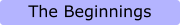 The Beginnings