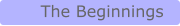 The Beginnings