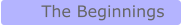 The Beginnings