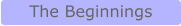 The Beginnings