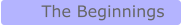 The Beginnings