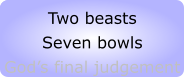 Paul and his journeys Two beasts Seven bowls God’s final judgement